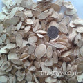 รากชา astragalus membranaceus